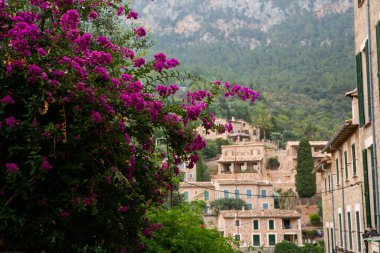 İspanyol tarzı Fornalutx, Mayorka ya da Mallorca adasının Eski Kasabası 'nda bir ortaçağ sokağı manzarası