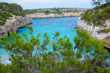 Calo des Moro, Mayorka, İspanya. Güzel sahil manzarası, egzotik tropik ada doğası, mavi deniz suyu, okyanus dalgaları, yaz tatili.