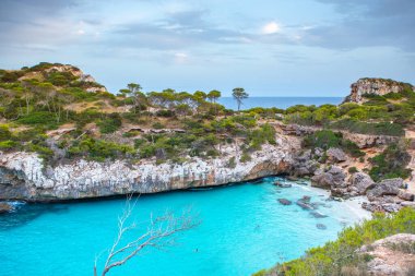 Calo des Moro, Mayorka, İspanya. Güzel sahil manzarası, egzotik tropik ada doğası, mavi deniz suyu, okyanus dalgaları, yaz tatili.
