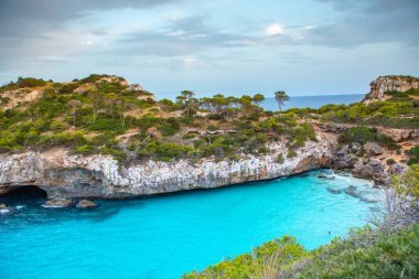 Calo des Moro, Mayorka, İspanya. Güzel sahil manzarası, egzotik tropik ada doğası, mavi deniz suyu, okyanus dalgaları, yaz tatili.