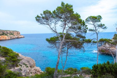 Calo des Moro, Mayorka, İspanya. Güzel sahil manzarası, egzotik tropik ada doğası, mavi deniz suyu, okyanus dalgaları, yaz tatili.