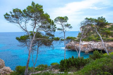 Calo des Moro, Mayorka, İspanya. Güzel sahil manzarası, egzotik tropik ada doğası, mavi deniz suyu, okyanus dalgaları, yaz tatili.