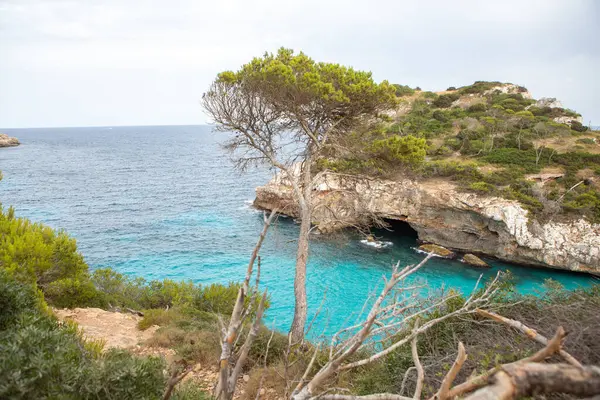 Calo Des Moro Mallorca Spanien Smukt Strandlandskab Eksotisk Tropisk Natur - Stock-foto