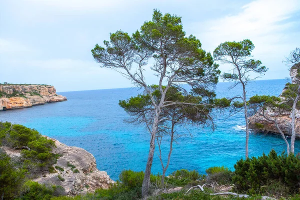 Calo Des Moro Mallorca Spanien Smukt Strandlandskab Eksotisk Tropisk Natur - Stock-foto