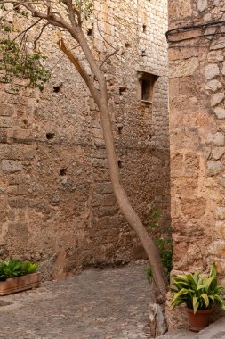 İspanya 'nın Mayorka ya da Mallorca adalarındaki Valdemossa kentinin ortaçağ İspanyol tarzı bir caddesinin manzarası.
