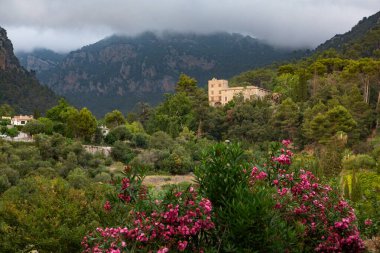 İspanya 'nın Mayorka ya da Mallorca adalarındaki Valdemossa kentinin ortaçağ İspanyol tarzı bir caddesinin manzarası.