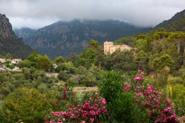 İspanya 'nın Mayorka ya da Mallorca adalarındaki Valdemossa kentinin ortaçağ İspanyol tarzı bir caddesinin manzarası.