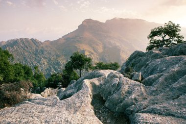 Tatil yürüyüşü Mallorca, İspanya. Akdeniz 'in Mayorka adasındaki Serra de Tramuntana dağlarının manzarasıyla güzel bir resim. Motorcular için cennet. Macera seyahati.