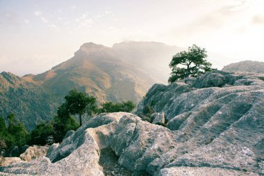 Tatil yürüyüşü Mallorca, İspanya. Akdeniz 'in Mayorka adasındaki Serra de Tramuntana dağlarının manzarasıyla güzel bir resim. Motorcular için cennet. Macera seyahati.