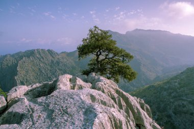 Tatil yürüyüşü Mallorca, İspanya. Akdeniz 'in Mayorka adasındaki Serra de Tramuntana dağlarının manzarasıyla güzel bir resim. Motorcular için cennet. Macera seyahati.