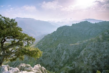 Tatil yürüyüşü Mallorca, İspanya. Akdeniz 'in Mayorka adasındaki Serra de Tramuntana dağlarının manzarasıyla güzel bir resim. Motorcular için cennet. Macera seyahati.
