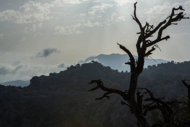 Tatil yürüyüşü Mallorca, İspanya. Akdeniz 'in Mayorka adasındaki Serra de Tramuntana dağlarının manzarasıyla güzel bir resim. Motorcular için cennet. Macera seyahati.