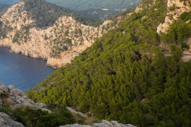 Tatil yürüyüşü Mallorca, İspanya. Akdeniz 'in Mayorka adasındaki Serra de Tramuntana dağlarının manzarasıyla güzel bir resim. Motorcular için cennet. Macera seyahati.