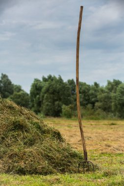 Tuna Deltası, başta Romanya 'da olmak üzere güneydoğu Avrupa' da bulunan eşsiz ve biyolojik çeşitlilikte bir bölgedir. Karadeniz 'e akan Tuna Nehri tarafından oluşturulan karmaşık kanallar, göller ve adalar ağı tarafından oluşturulmuştur..