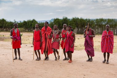 Masai geleneksel renkli giysiler içinde Masai 'nin ünlü Safari seyahat merkezinin yakınındaki yerel bir kabile köyünde dans ettiğini gösteriyor. Kenya. Yazı
