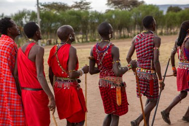 Masai geleneksel renkli giysiler içinde Masai 'nin ünlü Safari seyahat merkezinin yakınındaki yerel bir kabile köyünde dans ettiğini gösteriyor. Kenya. Yazı