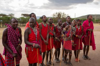 Masai geleneksel renkli giysiler içinde Masai 'nin ünlü Safari seyahat merkezinin yakınındaki yerel bir kabile köyünde dans ettiğini gösteriyor. Kenya. Yazı