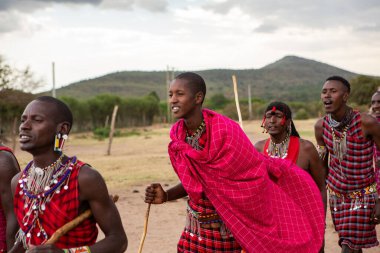 Masai geleneksel renkli giysiler içinde Masai 'nin ünlü Safari seyahat merkezinin yakınındaki yerel bir kabile köyünde dans ettiğini gösteriyor. Kenya. Yazı