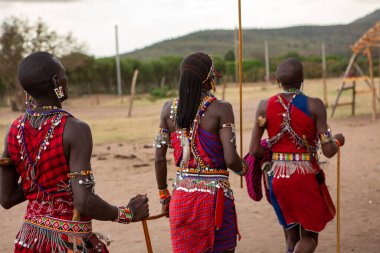 Masai geleneksel renkli giysiler içinde Masai 'nin ünlü Safari seyahat merkezinin yakınındaki yerel bir kabile köyünde dans ettiğini gösteriyor. Kenya. Yazı