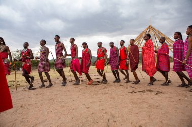 Masai geleneksel renkli giysiler içinde Masai 'nin ünlü Safari seyahat merkezinin yakınındaki yerel bir kabile köyünde dans ettiğini gösteriyor. Kenya. Yazı
