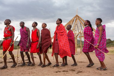 Masai geleneksel renkli giysiler içinde Masai 'nin ünlü Safari seyahat merkezinin yakınındaki yerel bir kabile köyünde dans ettiğini gösteriyor. Kenya. Yazı