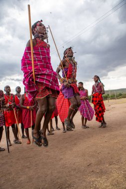 Masai geleneksel renkli giysiler içinde Masai 'nin ünlü Safari seyahat merkezinin yakınındaki yerel bir kabile köyünde dans ettiğini gösteriyor. Kenya. Yazı