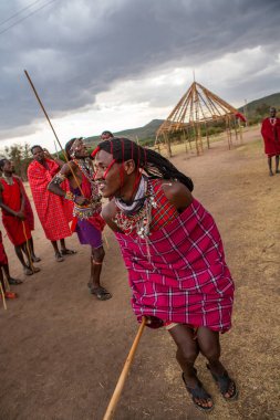 Masai geleneksel renkli giysiler içinde Masai 'nin ünlü Safari seyahat merkezinin yakınındaki yerel bir kabile köyünde dans ettiğini gösteriyor. Kenya. Yazı
