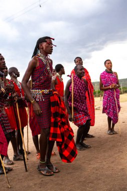 Masai geleneksel renkli giysiler içinde Masai 'nin ünlü Safari seyahat merkezinin yakınındaki yerel bir kabile köyünde dans ettiğini gösteriyor. Kenya. Yazı