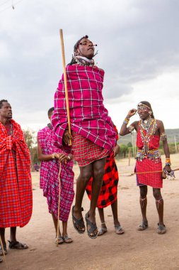 Masai geleneksel renkli giysiler içinde Masai 'nin ünlü Safari seyahat merkezinin yakınındaki yerel bir kabile köyünde dans ettiğini gösteriyor. Kenya. Yazı