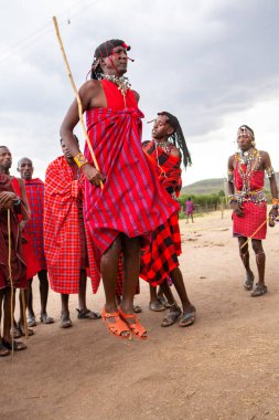 Masai geleneksel renkli giysiler içinde Masai 'nin ünlü Safari seyahat merkezinin yakınındaki yerel bir kabile köyünde dans ettiğini gösteriyor. Kenya. Yazı