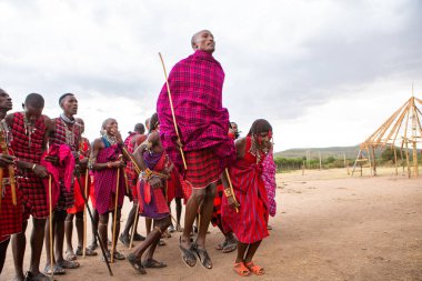Masai geleneksel renkli giysiler içinde Masai 'nin ünlü Safari seyahat merkezinin yakınındaki yerel bir kabile köyünde dans ettiğini gösteriyor. Kenya. Yazı