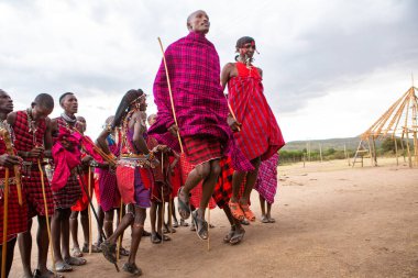 Masai geleneksel renkli giysiler içinde Masai 'nin ünlü Safari seyahat merkezinin yakınındaki yerel bir kabile köyünde dans ettiğini gösteriyor. Kenya. Yazı