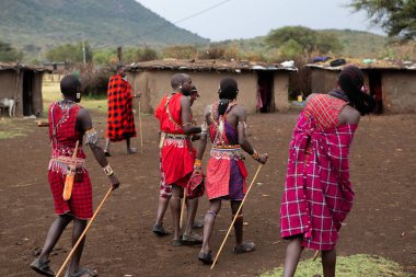 Masai geleneksel renkli giysiler içinde Masai 'nin ünlü Safari seyahat merkezinin yakınındaki yerel bir kabile köyünde dans ettiğini gösteriyor. Kenya. Yazı