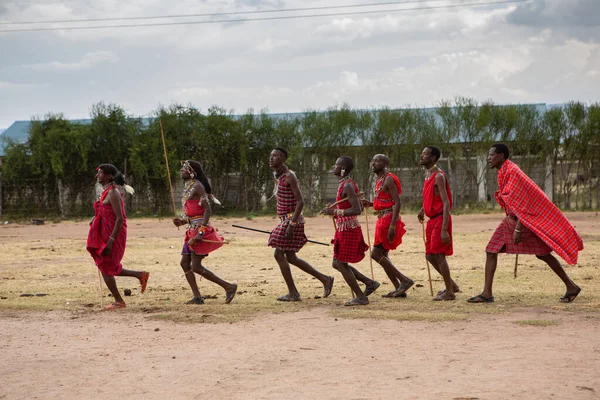 Masai Στην Παραδοσιακή Πολύχρωμη Ενδυμασία Δείχνει Maasai Χορό Jumping Στο — Φωτογραφία Αρχείου