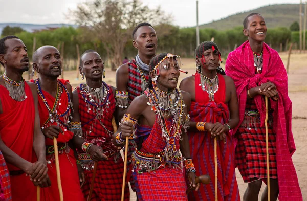 马赛人穿着传统的五彩缤纷的服装 在当地著名的萨法里旅游目的地附近的部落村跳起舞来 肯尼亚 — 图库照片