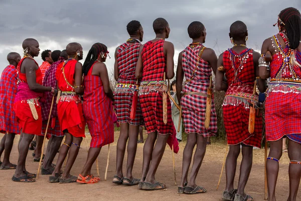 有名なサファリ旅行先の近くの地元部族村で舞踏ダンスを披露する伝統的なカラフルな服装のマサイ ケニア エディター — ストック写真
