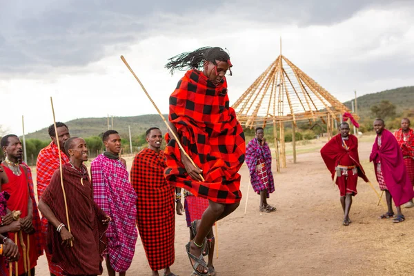 Masai geleneksel renkli giysiler içinde Masai 'nin ünlü Safari seyahat merkezinin yakınındaki yerel bir kabile köyünde dans ettiğini gösteriyor. Kenya. Yazı