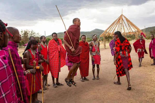 有名なサファリ旅行先の近くの地元部族村で舞踏ダンスを披露する伝統的なカラフルな服装のマサイ ケニア エディター — ストック写真