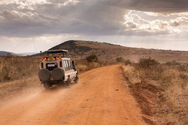 Masai Mara Ulusal Parkı Kenya 'da cip safarisi