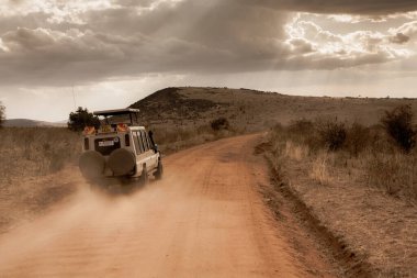 Masai Mara Ulusal Parkı Kenya 'da cip safarisi