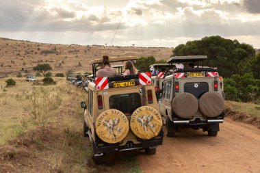 Masai Mara Ulusal Parkı Kenya 'da cip safarisi