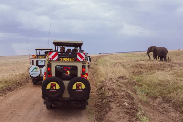 Masai Mara Ulusal Parkı Kenya 'da cip safarisi