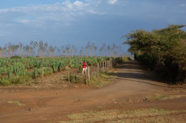 Renkli geleneksel binaları olan Kenya köyünde tipik bir Afrika sokağı.