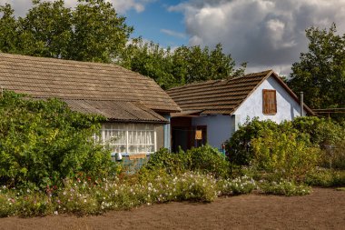 Evin kapısı metal bir desenle dekore edilmiş. Köyde terk edilmiş eski bir ev. Bir kır evinin bahçesindeki eski demir kapı. Yeşil metal kapı.