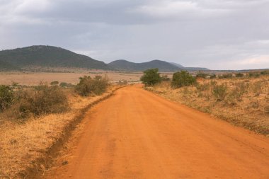 Afrika, Kenya 'daki ovalarda altın çayırlar. Masai Mara Ulusal Rezervi 'nde Afrika Savanası manzarası.