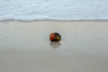 Beyaz kum ve palmiyeli cennet kumsalı. Kenya Mombasa 'nın Hint Okyanusu çevresindeki Diani Sahili. Afrika 'da manzara fotoğrafı egzotik plaj