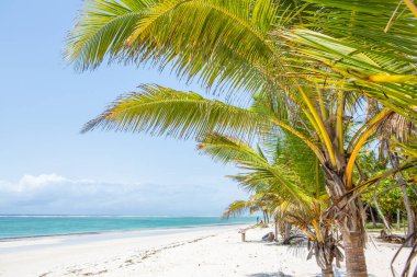 Beyaz kum ve palmiyeli cennet kumsalı. Kenya Mombasa 'nın Hint Okyanusu çevresindeki Diani Sahili. Afrika 'da manzara fotoğrafı egzotik plaj