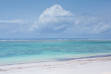 Beyaz kum ve palmiyeli cennet kumsalı. Kenya Mombasa 'nın Hint Okyanusu çevresindeki Diani Sahili. Afrika 'da manzara fotoğrafı egzotik plaj