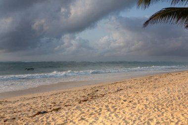 Beyaz kum ve palmiyeli cennet kumsalı. Kenya Mombasa 'nın Hint Okyanusu çevresindeki Diani Sahili. Afrika 'da manzara fotoğrafı egzotik plaj