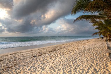 Beyaz kum ve palmiyeli cennet kumsalı. Kenya Mombasa 'nın Hint Okyanusu çevresindeki Diani Sahili. Afrika 'da manzara fotoğrafı egzotik plaj